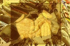 Curanmor, Salman Ditangkap Polisi