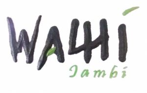 Wajah Kota Jambi Dibalik Pilkada, Begini Penjelasannya