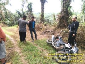 Pemuda Asal Tanjung Bungo Ditangkap di Areal Perkebunan Sawit karena Bawa Sabu