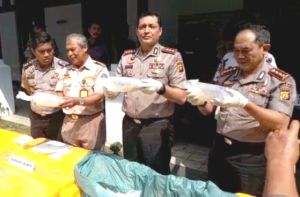 Lagi, Polair Polda Jambi Gagalkan Ratusan Ribu Baby Lobster Asal NTB