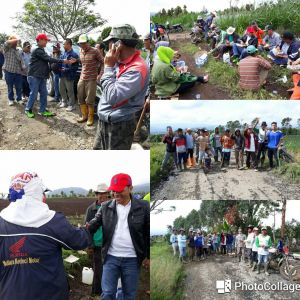 Blusukan di Kayu Aro, Zainal Abidin Ikut Gotong Royong Bersama Masyarakat 