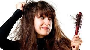 Cobalah, ini 5 Makanan Cegah Rambut Rontok