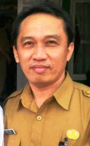 Dinkes Provinsi Jambi Respon Bayi Rahmawati yang Terkena Kanker, Begini Katanya