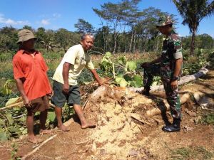 Warga Relakan Tanah dan Pohon untuk Pembangunan Jalan TMMD   