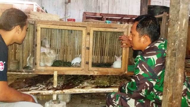 Berguru Saat Melihat Peternakan Kelinci