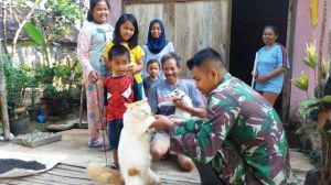 Anak-Anak Dengan Anggora Lucu
