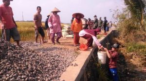 Surutnya Air Irigasi Tidak Menyurutkan Semangat Warga      