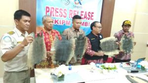 Paket Seberat 10 Kg Disita di Bandara, Ternyata Isinya Kulit Biawak Air