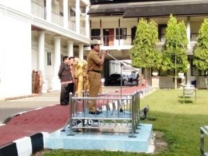 Dua Pejabat Pemprov Jambi Memasuki Purna Bakti, Begini Kata Asisten II