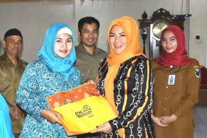 Ketua TP-PKK Hadiri Desiminasi Pengendalian Penduduk      