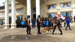 Jaga Ketat Gedung DPRD, Polisi Lepas 2 Anjing K9