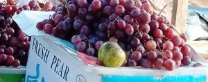 Hati-hati... Beredar Dugaan Buah Anggur Mengandung Formalin di Kota Jambi