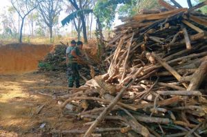 Kayu Bakar Jadi Kebutuhan Dalam TMMD