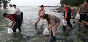 Benih Lobster Senilai Rp9,18 Miliar Berhasil Dilepasliarkan di Banten