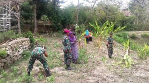 Tanam Pohon Penghijauan, Dipenghujung Program TMMD