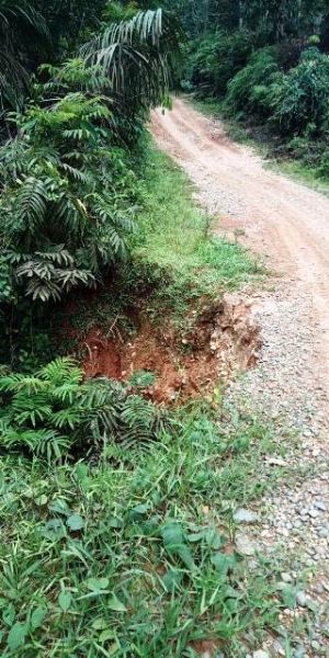 3 Desa di Nalo Tantan Keluhkan Jalan Longsor Menuju Kota Bangko