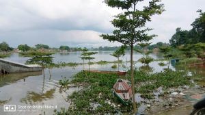 Waduh.. Proyek Rp5 Miliar di Danau Sipin ini Tenggelam Karena Banjir