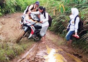 Jalan Tiga Desa di Merangin Ini Seperti Kubangan Kerbau, Kades Pinta Pemkab Bertindak