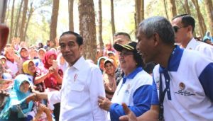 Ada Festival PeSoNa 2018 di Jambi, KPHP Muarojambi: Kapasitas SDM Masyarakat Harus Meningkat      