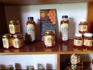 Mengintip Potensi Madu Jambi di Festival Pesona 2018