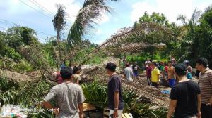 Lautan Sampah di Beliung Tak Kunjung Diangkat, Warga Blokir Jalan dengan Batang Sawit