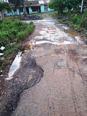 Jalan Alternatif ke Arizona Hancur, Warga Berharap Perhatian dari Pemerintah