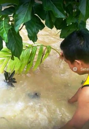 Warga Ingin Dilihat Ketika Banjir, Begini Tanggapan Dinsos Dukcapil   