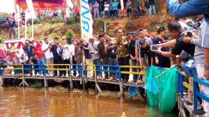 Bupati Kerinci Dampingi Plt Gubernur Panen Ikan dan Launching Penjualan Ikan Online