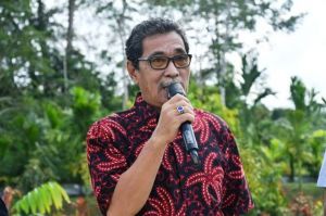 Replanting Karet, Pemerintah Berikan Isentif   