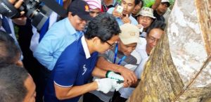 Murady : Sandi Akan Semujur Adam Malik