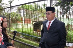 Soal Matinya Singa dan Harimau, Sekda Datangi Langsung Taman Rimba