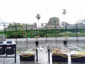 RTH di Taman Anggrek Telanaipura Tak Kunjung Diresmikan, Ini Kata Sekda