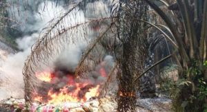 Soal Kebakaran Sumur Minyak Ilegal di Batanghari, Ini  Tanggapan Pertamina EP 