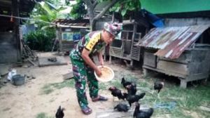 Ditengah Kesibukan Dinas, Babinsa Tanjung Sari Sungai Bahar Luangkan Waktu Beternak Ayam