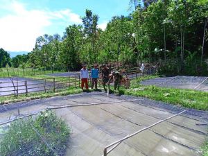 Warga  Terharu Anggota Satgas TMMD Kodim 0417/Kerinci Mau Bantu Beri Pakan Ikan di Tambak