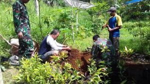 Anggota Satgas TMMD Bantu Petani Kayu Manis