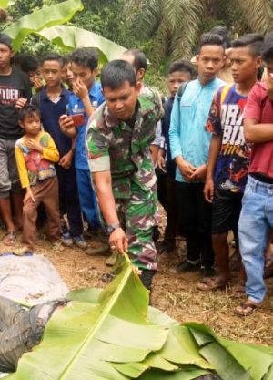 Warga Suban Heboh, Mayat Mengapung Ditemukan di Sungai Tantang Tanjabbar