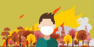 Karhutla Riau, BNPB Kerahkan 12 Heli dan Pesawat Pembuat Hujan