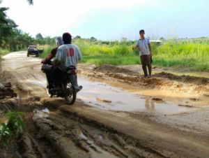 Rusak Parah, Jalan Penghubung Tiga Desa di Tanjabbar Memprihatinkan   