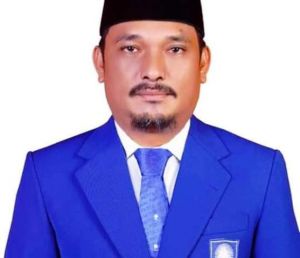 PAN, PDI P, Demokrat Rebutan Suara Susulan, Ucok Mora: Kami Tidak akan Diam!