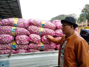 Puluhan Ton Bawang Putih Segera Tiba di Jambi, Ini Perkiraan Harganya