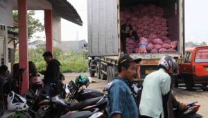 Harga Mahal, Yogyakarta Digelontori 7 Ton Bawang Putih Cina
