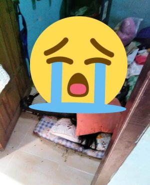 Pelaku Pembunuhan di Mayang Berhasil Ditangkap Polda Jambi di Kalideres Jakarta