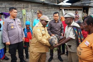 Bupati Deiyai Dampingi Binmas Noken Serahkan Bibit Ternak Kepada Binaan di Kampung Bomou II 