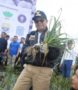 Fachrori Panen Bawang Putih Di Jangkat, Antisipasi Lonjakan Harga dan Tingkatkan NTP Petani