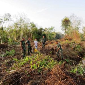 Pembukaan Jalan TMMD di Desa Ladang Peris Buka Akses Ekonomi Masyarakat