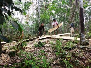 Bersama Warga, Babinsa Mencari Kayu Untuk Tambah Material Bedah Rumah