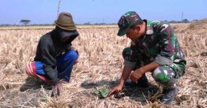 MMD Berdaya guna Bagi Masyarakat