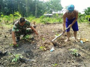 Serda Alfian Bantu Warga Bertani Cabe dan Tomat di Ladang