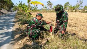 Pathok Ditanam, Jalan TMMD Segera 